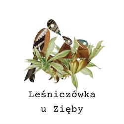 Leśniczówka u Zięby