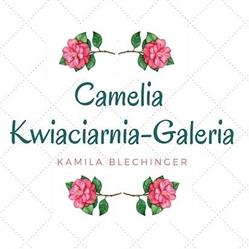 Sklep Camelia Kamila Blechinger - kwiaciarnia/galeria