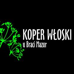 Koper Włoski u Braci Mazur