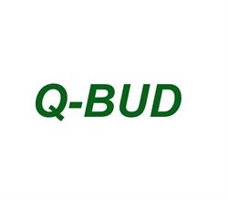 Firma Budowlana Q-BUD