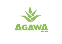 Agawa