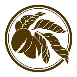 Pod Orzechami