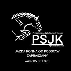 Profesjonalna Szkoła Jazdy Konnej