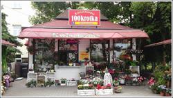 Kwiaciarnia 100krotka