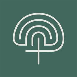 Psyche Plus