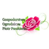 Gospodarstwo Ogrodnicze Piotr Pawłowski