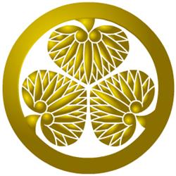 Stowarzyszenie Ju Jitsu Shogun