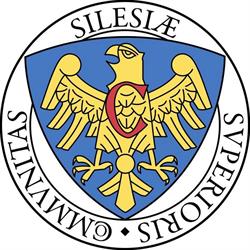 Związek Górnośląski