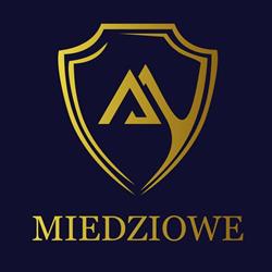 MIEDZIOWE CENTRUM FINANSOWE