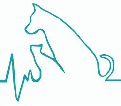 Przychodnia Weterynaryjna DogVet