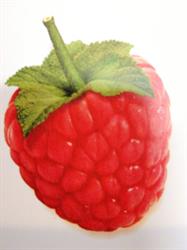 Sklep Ogrodniczy