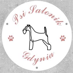 Psi Salonik Gdynia