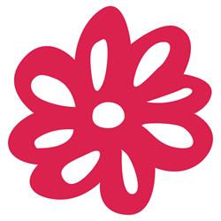 Novaflora Roland Zaworski Pracownia florystyczna