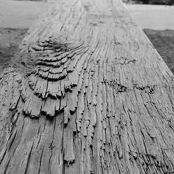 Woodfinish