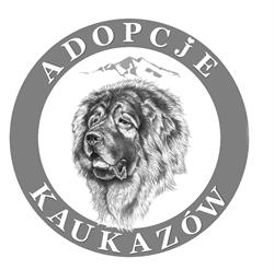 Adopcje kaukazów