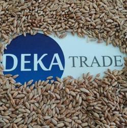 PHU DEKA TRADE Bartosz Dawidowicz; DEKA TRADE Dawidowicz, Kołodziej spółka komandytowa