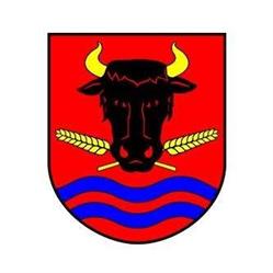 Gmina Będzino