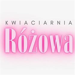 Kwiaciarnia Florecita Agrobex