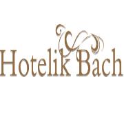 Pokoje Gdańsk Hotelik Bach Pokoje z Łazienkami Noclegi Gdańsk