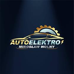 Auto-Elektro