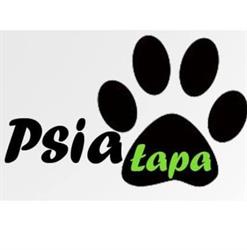 Psi Fryzjer Psia Łapa
