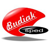 BUDIAK Karolina Anioł