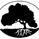 Szkółka Roślin Ozdobnych Anna Mączyńska Bonsai W Ogrodzie