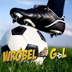 Salon piłkarski Wróbel-gol