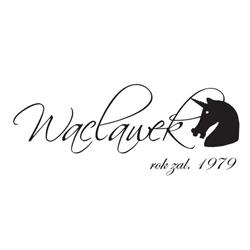 Firma Jubilerska Wacławek
