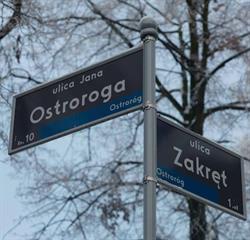 Stowarzyszenie im. Jana Ostroroga