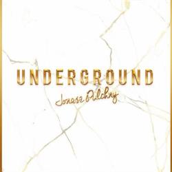 Underground Fryzjerstwo Kreatywne & Kosmetyka Estetyczna Jonasz Pulchny