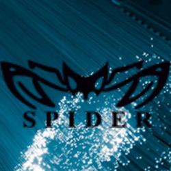 "SPIDER" Szybki Internet bez limitu