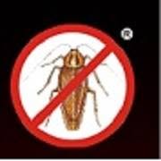 1 "Antyinsekt" Specjalistyczny Zakład Dezynfekcji Dezynsekcji Deratyzacji oraz Zwalczania Szkodników