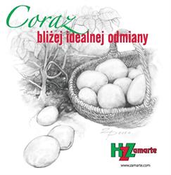 HODOWLA ZIEMNIAKA ZAMARTE SP Z O O GRUPA IHAR