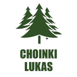 ŁUKASZ WITOSZ LUKAS