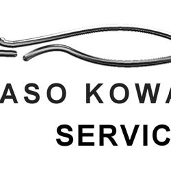 ASO KOWALSKI Ryszard Kowalski. Autoryzowana Stacja Obsługi IVECO