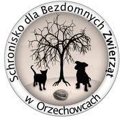 Schronisko Orzechowce