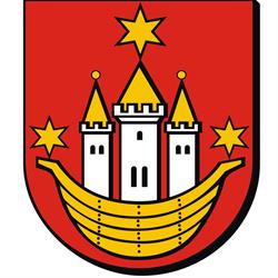 Gmina Wąsosz