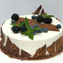 Art Tort