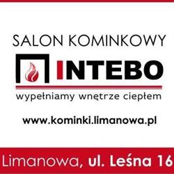 INTEBO. SALON KOMINKOWY, Usługi zduńskie, Piece akumulacyjne, Kotły na pellet