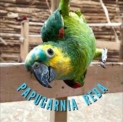 Aquapark Reda