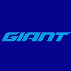 Giant Gorzów