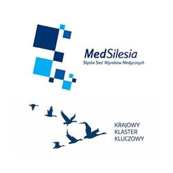 MedSilesia