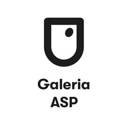 Galeria ASP w Krakowie