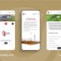 Mockup eibinwestycje.com