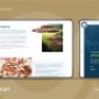 Mockup6