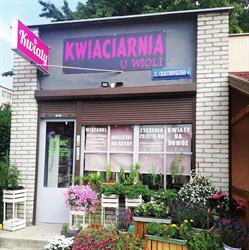PHU KWIACIARNIA U WIOLI
