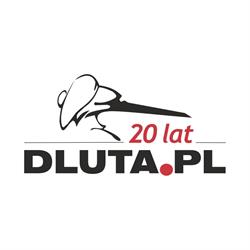 DLUTA