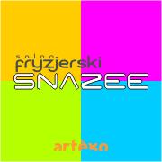 salon fryzjerski SNAZEE