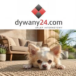 Dywany24.com - Sklep z dywanami